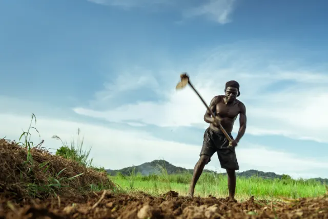 Agriculture and food systems research